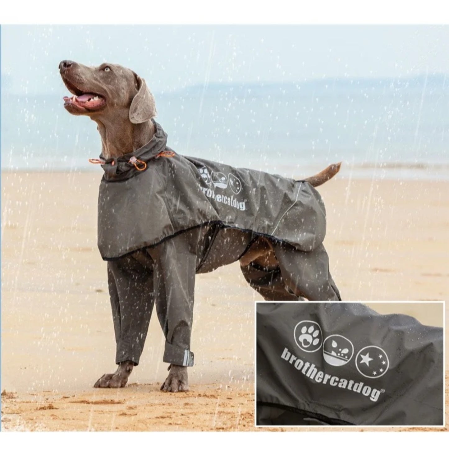Dog raincoat waterproof one-piece raincoat for medium and large dogs with adjustable hood four-legged reflective raincoat