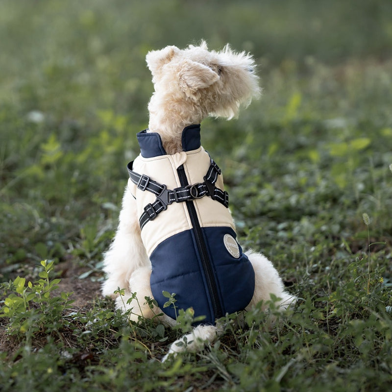 Dog winter jacket, warm and windproof, chest and back, suitable for all dogs