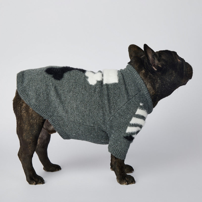 Fashionable dog sweater for Corgi, Schnauzer and French bulldog