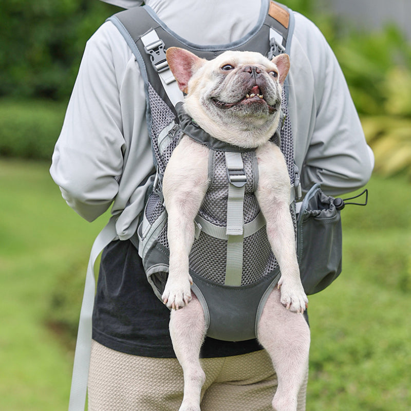 Adjustable Dog Backpack - Fits Small to Medium Dogs