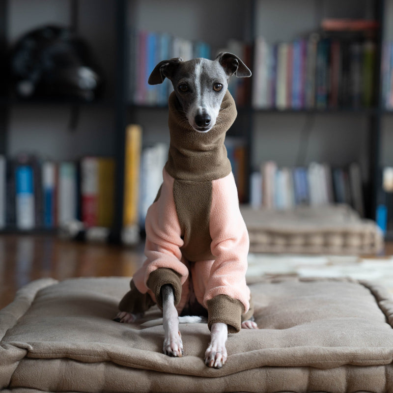 High-collar soft warm dog four-legged coat