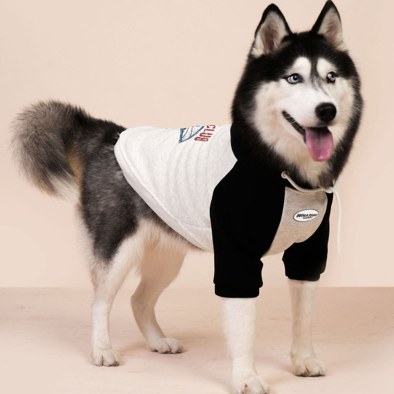 Dog winter sweatshirt with pure cotton lining and fleece suitable for all dogs