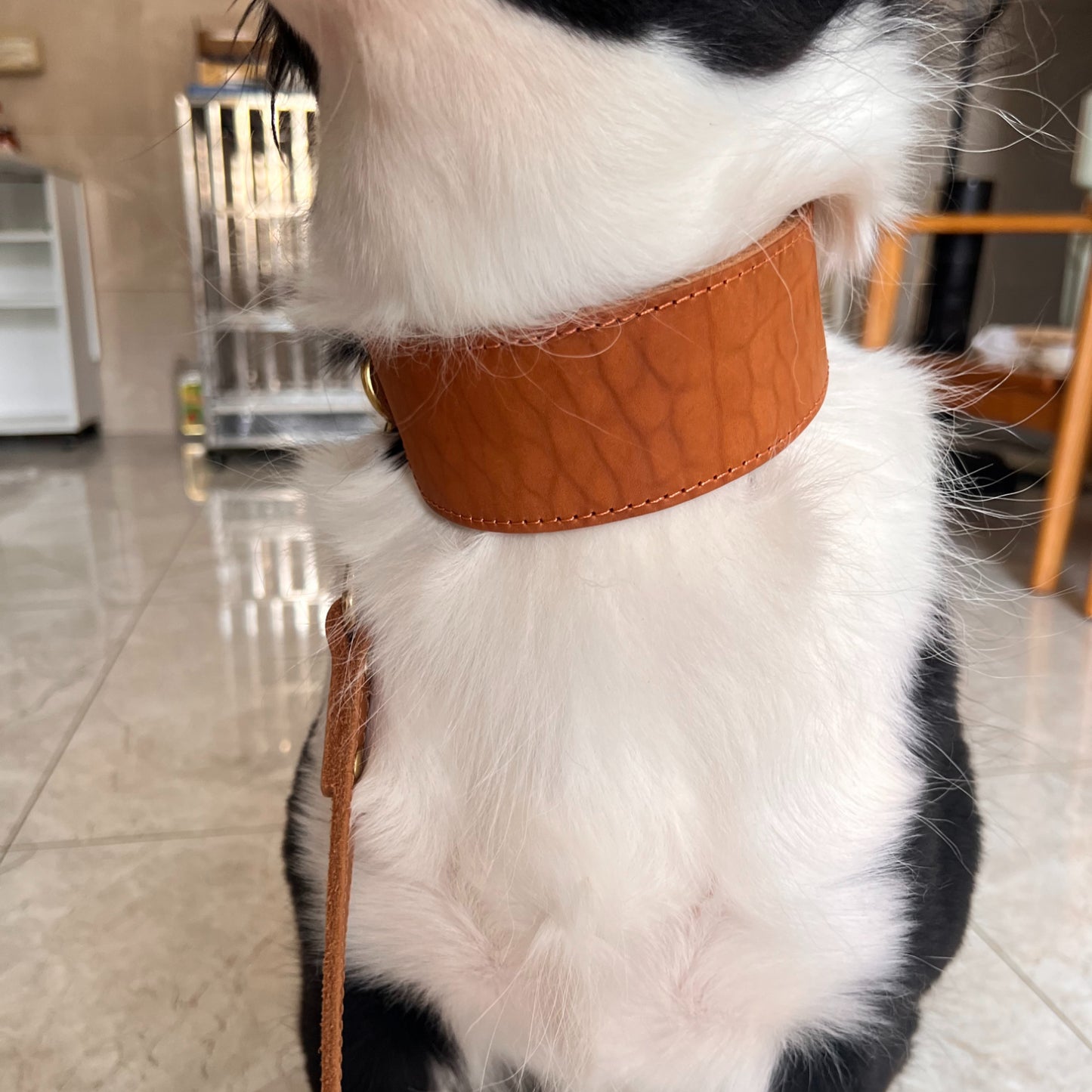 Anti-Pull Greyhound Leather Collar Natural leather soft and skin friendly