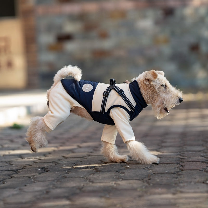 Dog winter jacket, warm and windproof, chest and back, suitable for all dogs