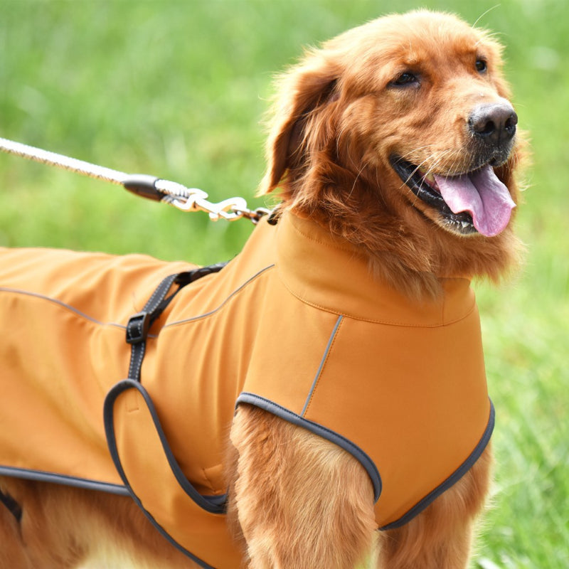 Winter Jacket for Large Dogs Thickened, Warm and Waterproof Dog Jacket