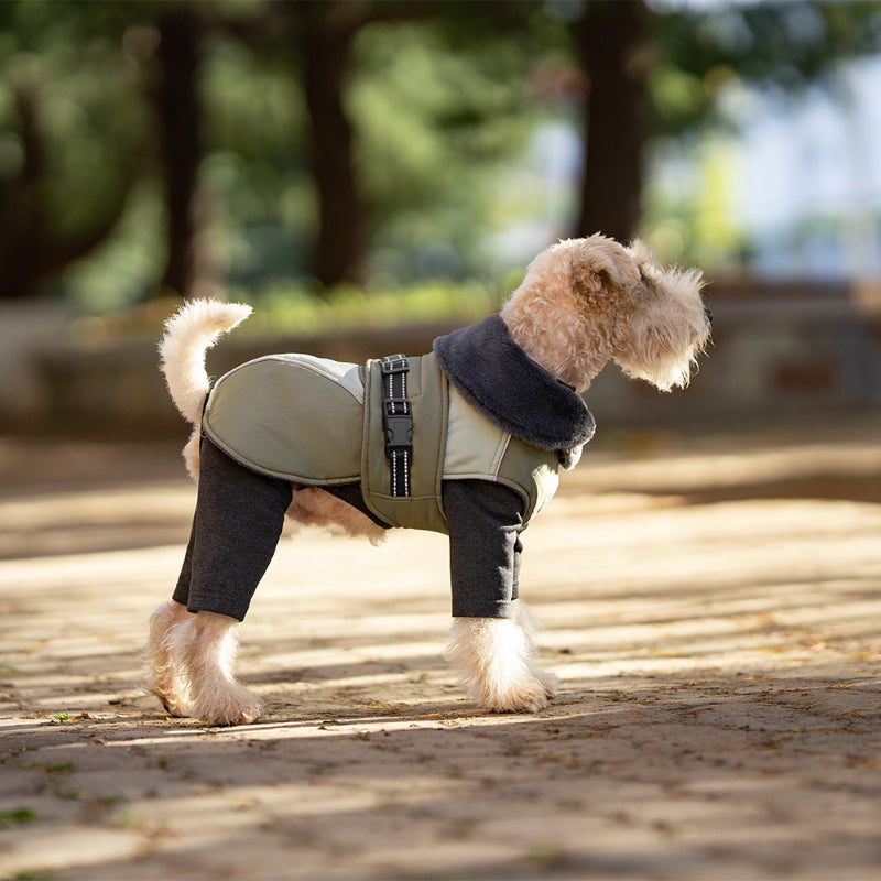 Dog Winter Thick Jacket High Collar Warm Reflective Small and Medium Dogs