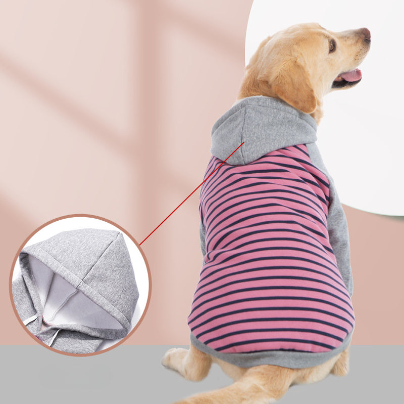 Big dog winter clothes two-legged striped sweatshirt golden retriever labrador