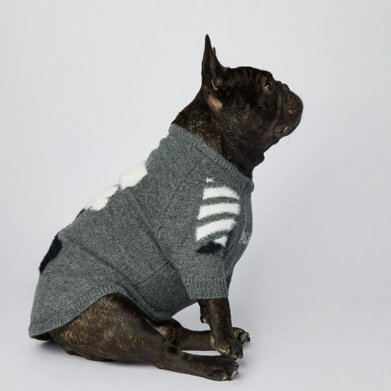 Fashionable dog sweater for Corgi, Schnauzer and French bulldog